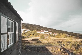 Adegas do Pico