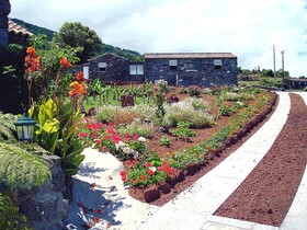 Adegas do Pico
