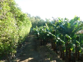 QVA - Quinta Velha das Amoreiras