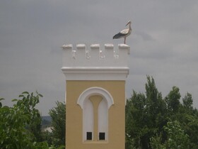 Quinta de Coalhos