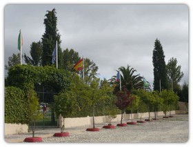 Curia Clube