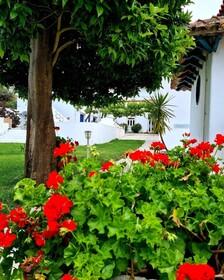 Oryza Guest House & Suites