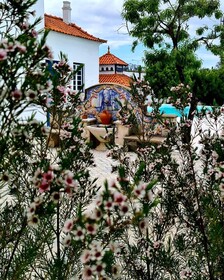 Oryza Guest House & Suites