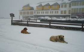 Luna Hotel Serra da Estrela