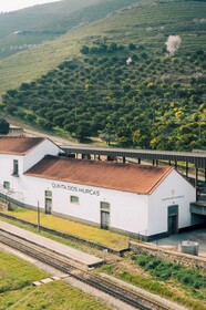 Quinta Dos Murças