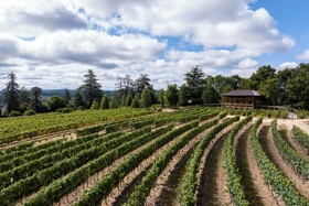 Valverde Santar Hotel & Spa