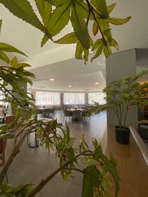 Villa Rey Hotel & Spa