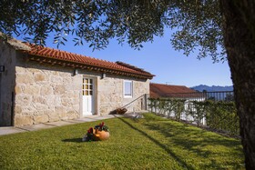 Tio Zé - Casas de Selim