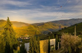 Quinta Da Portela Douro