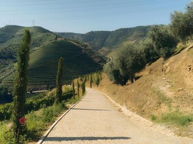 Quinta São Jose do Barrilario