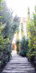 Lavandeira Douro Nature & Wellness