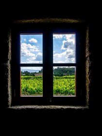 Lavandeira Douro Nature & Wellness