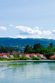 Lavandeira Douro Nature & Wellness
