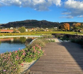 Lavandeira Douro Nature & Wellness