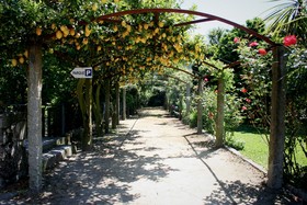 Quinta de Santa Comba