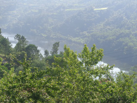 Bernardes House