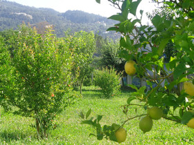 Bernardes House