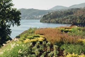 Octant Hotels Douro