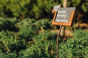 Octant Hotels Douro