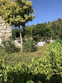 Propriedade do Pires Lda