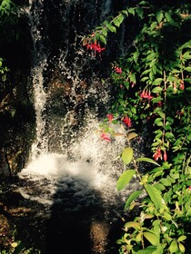 Propriedade do Pires Lda