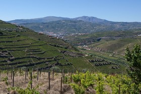 Quinta de Casaldronho Wine Hotel