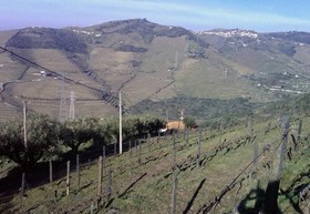 Quinta de Casaldronho Wine Hotel