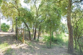 Quinta do Bosque