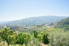 Quinta do Bosque