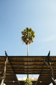 Vintage House Hotel