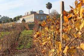 Hotel Rural Quinta das Quintães