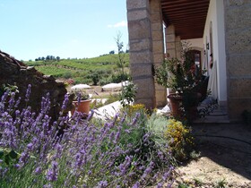 Quinta da Pereira e Enricas