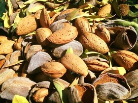 Quinta da Pereira e Enricas