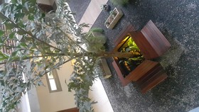 Start Villa Morra Rent Apartments