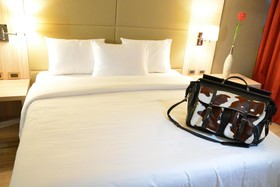 Savoy Hotel Encarnación