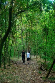 Vista Alegre Natural Resort