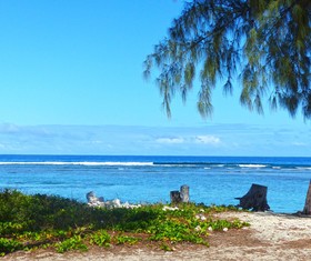 Villa Fasika