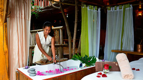 Lodge Roche Tamarin & Spa - Village Nature