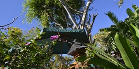 Lodge Roche Tamarin & Spa - Village Nature