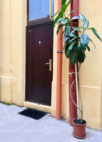 Cismigiu Studio Apartments