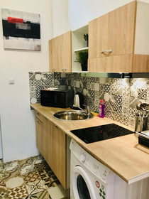 Cismigiu Studio Apartments