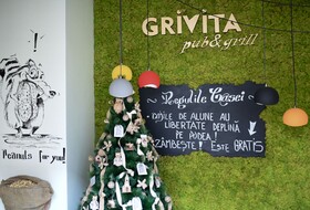 Euro Hotel Grivita