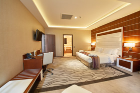 Hotel Spa Resort Premier Palace