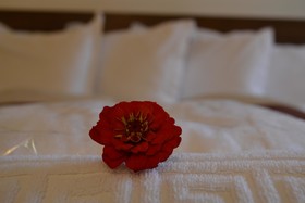 Phoenicia Comfort Hotel
