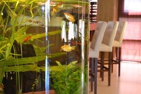 Phoenicia Comfort Hotel