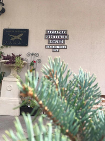 Aviator Boutique Hotel