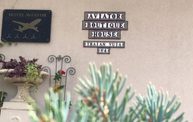 Aviator Boutique Hotel