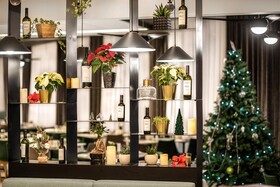 Hilton Garden Inn Bucharest Airport