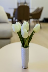 eXpecto Apartments