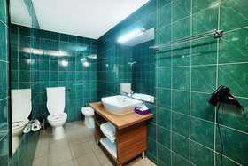 Hotel President Timisoara